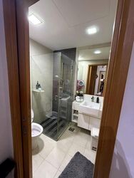 Park Infinia At Wee Nam (D11), Condominium #637307881